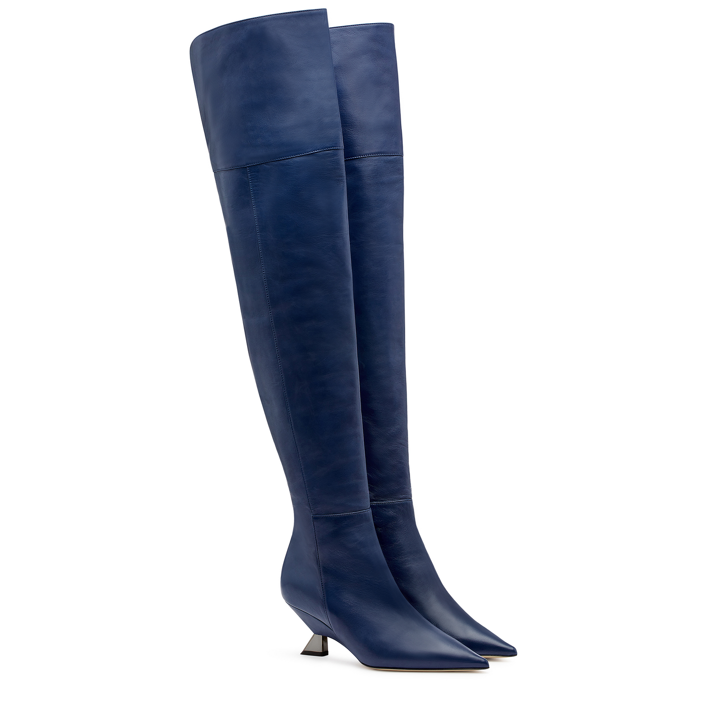 쿠이사르드 피오나 다누비오