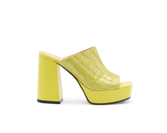 사보트 기지 피스타치오